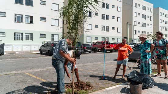 A Prefeitura de Bertioga promoveu o plantio de 200 mudas de espécies da Mata Atlântica para preservar a biodiversidade local - Foto: Divulgação/ Prefeitura de Bertioga