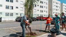 A Prefeitura de Bertioga promoveu o plantio de 200 mudas de espécies da Mata Atlântica para preservar a biodiversidade local - Foto: Divulgação/ Prefeitura de Bertioga