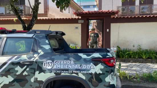 DOA alerta população sobre a importância de acionar as autoridades ao avistar animais silvestres em risco - Foto: Divulgação/ Prefeitura de Bertioga