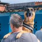 Castração e microchipagem são essenciais para a guarda responsável e bem-estar animal - Foto: Joanderson Piropo