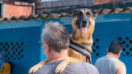 Castração e microchipagem são essenciais para a guarda responsável e bem-estar animal - Foto: Joanderson Piropo