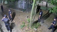 A rápida ação da Guarda Civil Municipal, com apoio de câmeras de monitoramento, evitou que o suspeito fugisse após o crime - Foto: Divulgação/ Prefeitura de Santos