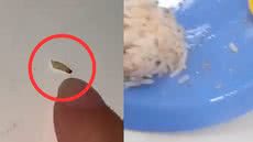 Comissão de fiscalização realiza vistoria na escola e notifica empresa fornecedora após ocorrências de larvas na merenda - Foto: Reprodução / Drone Fox