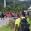 Motorista perdeu controle na Ponte do Mar Pequeno, invadiu área de paisagismo e atropelou funcionário da Secretaria de Serviços Urbanos - Foto: Reprodução