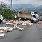 Um caminhão carregado com frango congelado tombou na Imigrantes - Foto: Portal CCM - Artesp