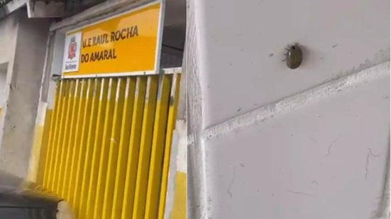 Imagem: Reprodução / A Tribuna