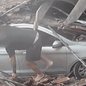 A Defesa Civil confirmou que a queda do telhado foi provocada pela destruição do pilar de sustentação do comércio - Imagem: Reprodução
