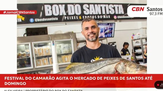 Comerciantes do Mercado de Peixes de Santos promovem festival com descontos em diversas espécies de camarão - Imagem: CBN Santos