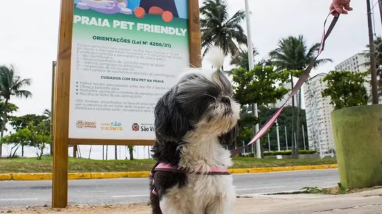 Imagem: Reprodução / Prefeitura de São Vicente