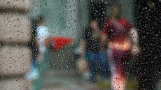 Defesa Civil monitora áreas de risco e orienta a população a redobrar os cuidados durante os temporais - Imagem: Reprodução