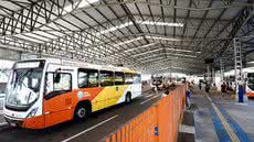 Cidades da Baixada Santista oferecem ônibus grátis no dia da eleição - Imagem: Divulgação/ Prefeitura de Praia Grande