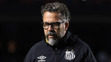Cléber Xavier deixa o comando do Santos após 15 jogos - Imagem: Marcello Zambrana/AGIF