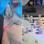Materiais hospitalares, medicamentos e anestésicos foram apreendidos pela Polícia Civil em clínica clandestina que funcionava no bairro Embaré, em Santos. - Imagem: Reprodução e Polícia Civil