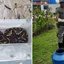 Alerta sobre segurança pública e preservação ambiental ganha destaque - Imagem: Divulgação / Prefeitura de Bertioga