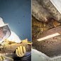 Colmeia de abelhas africanizadas foi retirada do forro de um quarto em uma residência na comunidade Prainha, em Guarujá, após registros de ataques a moradores e vizinhos - Imagem: Divulgação/Polícia Militar