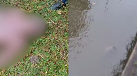 A Polícia Militar confirmou a presença do cadáver e acionou o Corpo de Bombeiros para realizar a remoção do corpo da água - Foto: Reprodução/ Vitor Roots