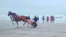 Corrida ilegal que matou cilcista é comum nas praias da cidade, segundo moradores - Imagem: Reprodução | Redes Sociais