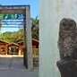 Descoberta no Orquidário de Santos levanta questões sobre a contaminação ambiental e a saúde dos animais selvagens - Foto: Divulgação/ Prefeitura de Santos