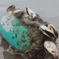 Descubra a relação das cracas com a gastronomia e por que a espécie encontrada na Praia Grande não é comestível - Foto: Hebe Gomes Dorado