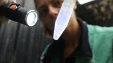 Agentes da Secretaria de Saúde de Santos vistoriaram imóveis na Vila Mathias durante mutirão para eliminar criadouros do mosquito Aedes aegypti - Imagem: Raimundo Rosa/PMS