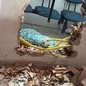 Buraco aberto em parede de comércio foi usado por criminosos para invadir lotérica e furtar cerca de R$ 50 mil em Iguape (SP) - Imagem: Redes sociais