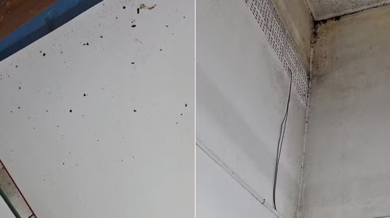 Responsáveis denunciam condições sanitárias e estruturais em escola municipal de Registro, incluindo presença de fezes de animais e falhas em banheiros - Imagem: Cláudia Birck