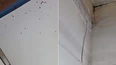 Responsáveis denunciam condições sanitárias e estruturais em escola municipal de Registro, incluindo presença de fezes de animais e falhas em banheiros - Imagem: Cláudia Birck