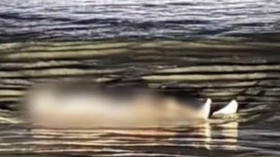 Morador encontra corpo boiando na praia do Indaiá em Bertioga e aciona resgate, mas vítima já estava sem sinais vitais - Imagem: Reprodução