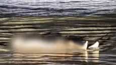 Morador encontra corpo boiando na praia do Indaiá em Bertioga e aciona resgate, mas vítima já estava sem sinais vitais - Imagem: Reprodução