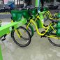 Durante os dias 9 e 16 de agosto, bicicletas do sistema de compartilhamento em Santos estarão disponíveis gratuitamente para todos os usuários - Foto: Divulgação/ Prefeitura de Santos
