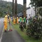 Com o crescimento acelerado das plantas, a zeladoria realiza retornos periódicos para manter a cidade limpa e bonita - Foto: Divulgação/ Prefeitura de Santos