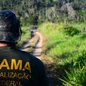 Foto: Divulgação/ Ibama