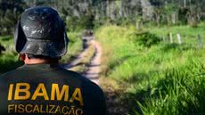 Foto: Divulgação/ Ibama