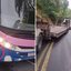 Entidades buscam esclarecer detalhes do acidente na SP-79, mas informações oficiais permanecem escassas - Foto: Redes sociais