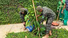 Ação do Exército Brasileiro visa reflorestamento e conscientização ambiental em Guarujá, com plantio de mudas nativas - Foto: Divulgação/ Prefeitura de Guarujá