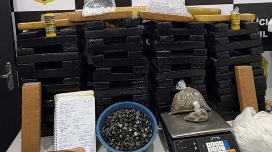 Mais de 100 quilos de maconha foram retirados de circulação, impactando o crime organizado na região - Imagem: Divulgação/ Polícia Civil