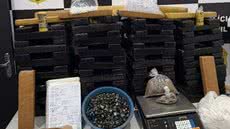 Mais de 100 quilos de maconha foram retirados de circulação, impactando o crime organizado na região - Imagem: Divulgação/ Polícia Civil