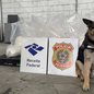 Agentes da Receita Federal interceptam grande carregamento de cocaína disfarçado em latas de óleo no Porto de Santos - Foto: Polícia Federal