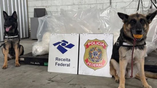 Agentes da Receita Federal interceptam grande carregamento de cocaína disfarçado em latas de óleo no Porto de Santos - Foto: Polícia Federal