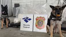 Agentes da Receita Federal interceptam grande carregamento de cocaína disfarçado em latas de óleo no Porto de Santos - Foto: Polícia Federal