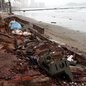 Embora os reparos em outra parte da orla tenham sido concluídos, não há previsão para o início dos trabalhos na área mais danificada - Foto: Alexsander Ferraz/ A Tribuna Jornal