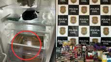 Apreensões incluem 17 pacotes de haxixe, 15 pacotes de maconha e 61 pacotes de skunk, além de armas - Imagem: Reprodução