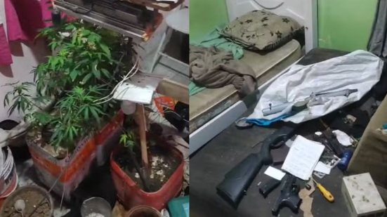 Durante a busca na casa do suspeito, polícia encontrou pés de maconha e materiais para fabricação de armas caseiras - Foto: Polícia Civil/ Divulgação