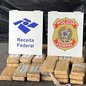 A Receita Federal, com cães farejadores, apreendeu 62 kg de cocaína escondidos em um contêiner que chegou de Barcelona - Foto: Divulgação/ Polícia Federal