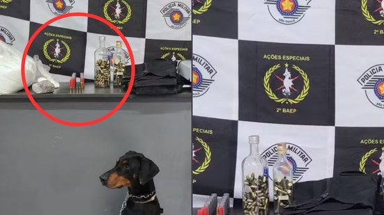 Cão farejador K-9 Hórus foi essencial para localizar drogas e munições escondidas - Foto: Divulgação/ 2º Baep