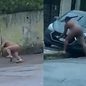 A situação ocorreu próximo a uma escola, onde o homem tentava arrancar a placa de um carro estacionado, causando alvoroço - Imagem: Reprodução/ Redes Sociais