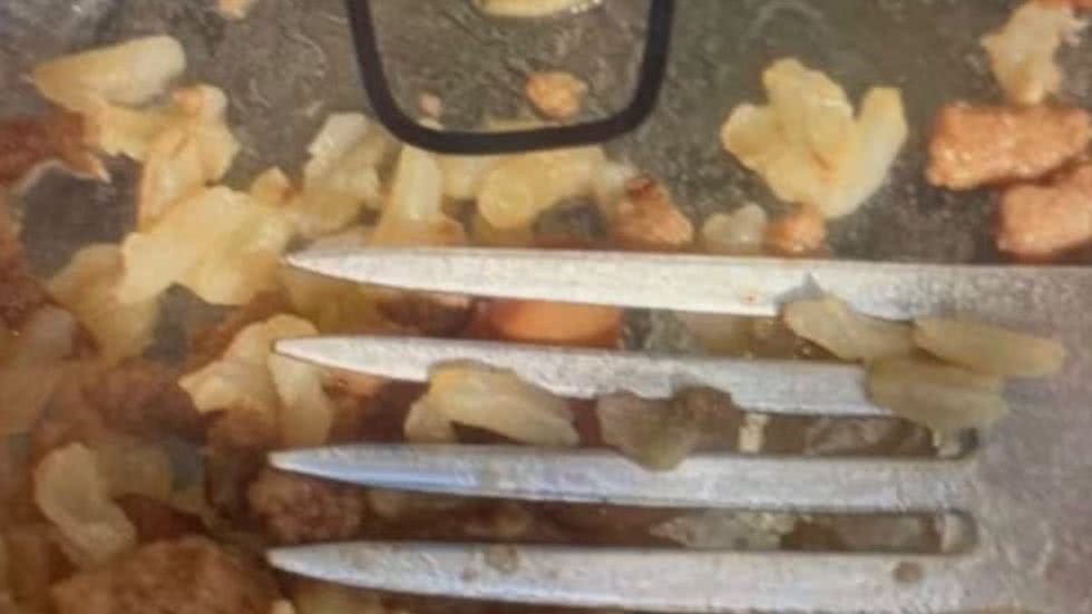 Estudante encontra larva em prato de comida de escola estadual de São Vicente - Imagem: Reprodução/Redes Sociais
