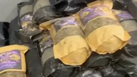 Apesar de não localizar suspeitos, a busca minuciosa da polícia resultou em uma das maiores apreensões da cidade - Imagem: Divulgação / Polícia Militar