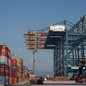 Terminal de Santos consolida-se como principal rota internacional do café do agronegócio - Imagem: Divulgação