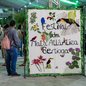 Festival da Mata Atlântica terá programação gratuita em Bertioga com oficinas, atividades educativas e ações voltadas à valorização ambiental e cultural - Imagem: Divulgação/Prefeitura de Bertioga
